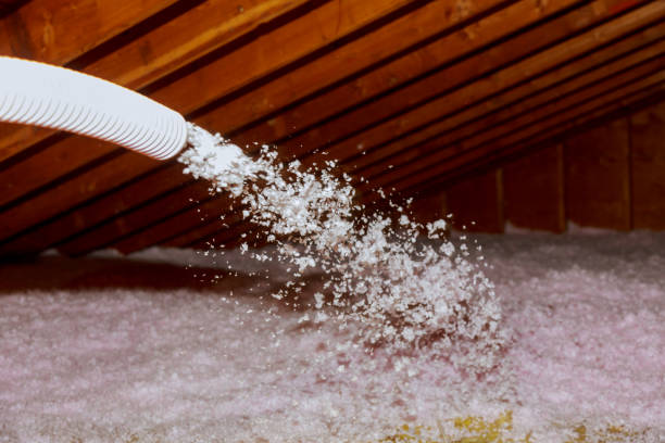 Best Best Insulation Companies  in Des Moines, IA