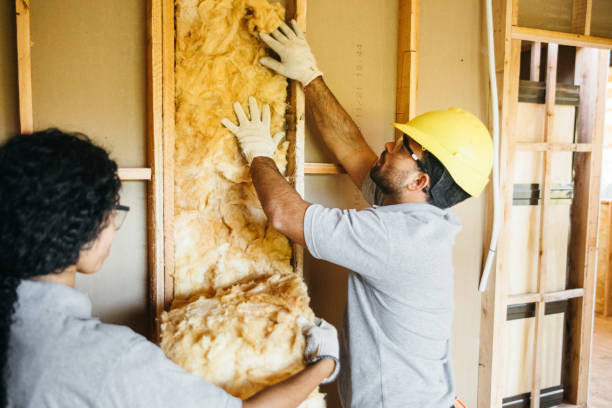 Best Cellulose Insulation  in Des Moines, IA