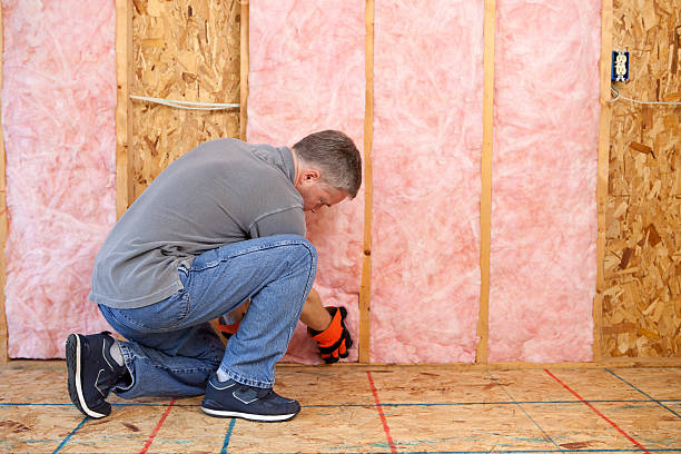 Insulation Inspection Services in Des Moines, IA