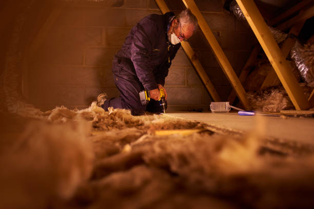 Best Insulation Contractors for Homes  in Des Moines, IA